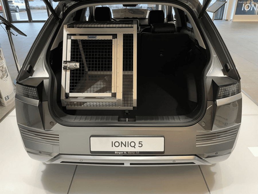 Hundebur Hyundai Ionic 5 medium